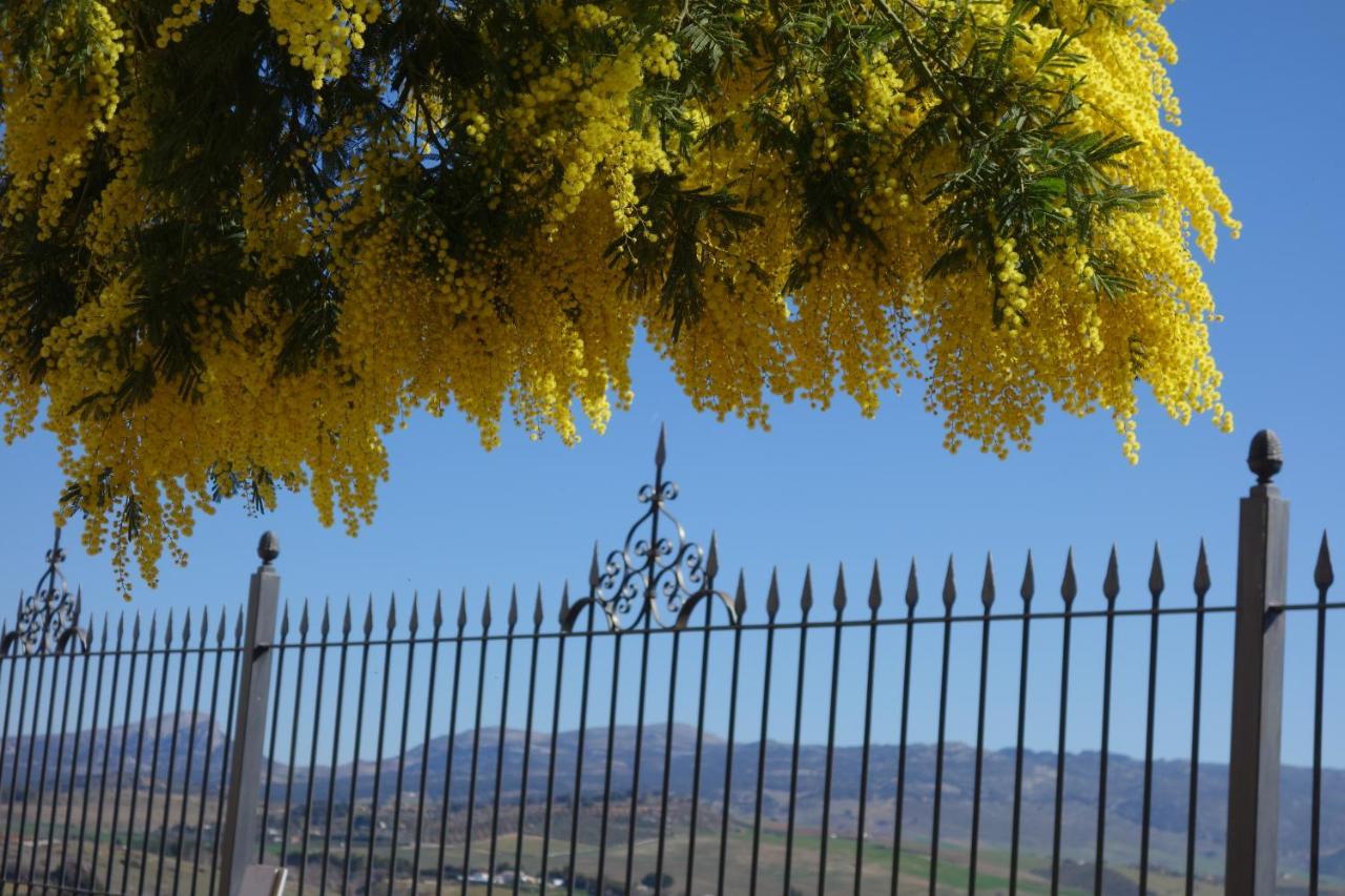 La Escondida Ronda, Bed & Breakfast
